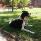 (6 meses) Descansando en el parque después de jugar